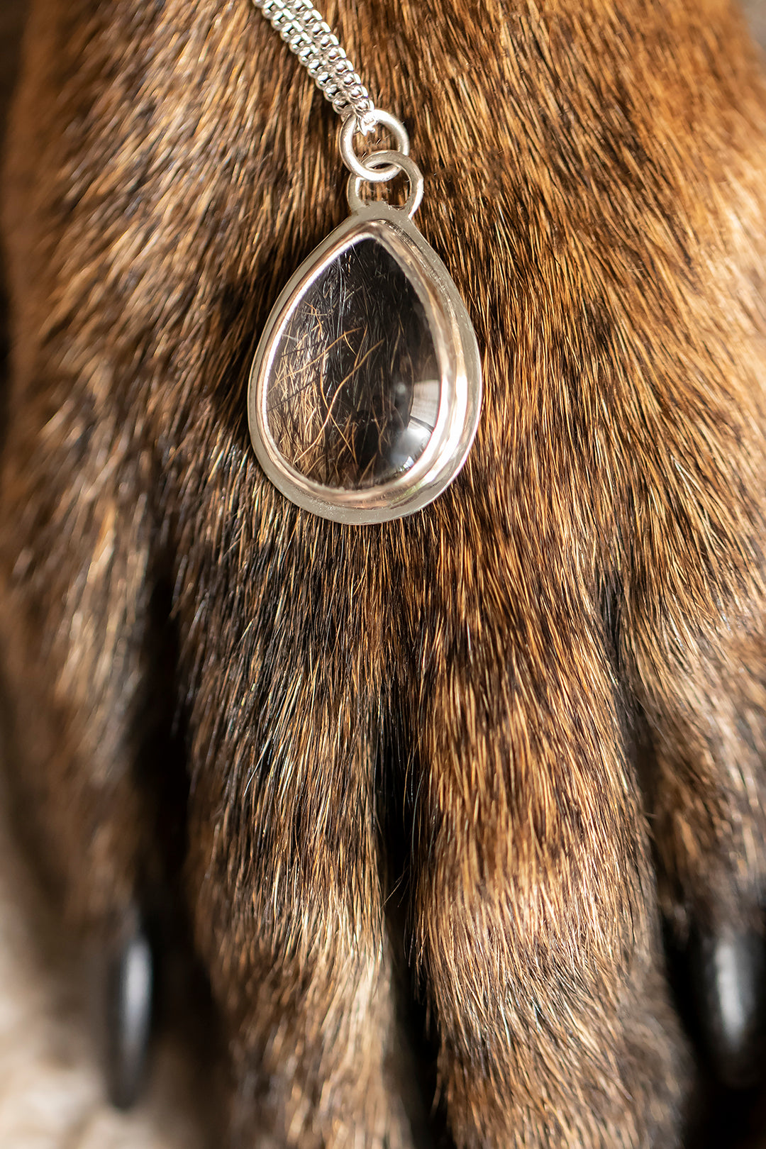 Zubehör & Gutscheine