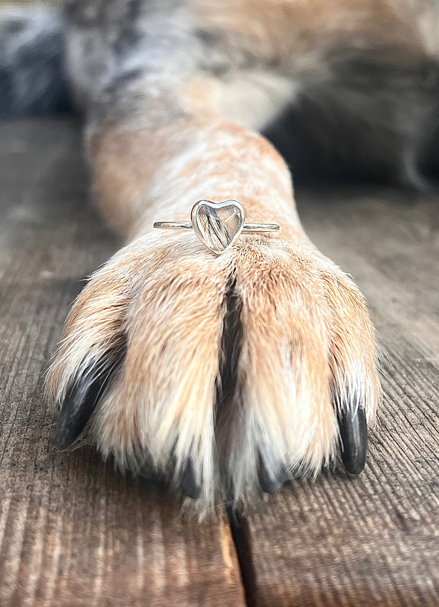 Filigraner Herz Ring